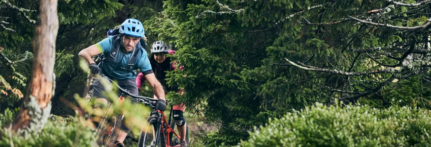 Two mountain bikers riding on a forest trail through dense bushes.