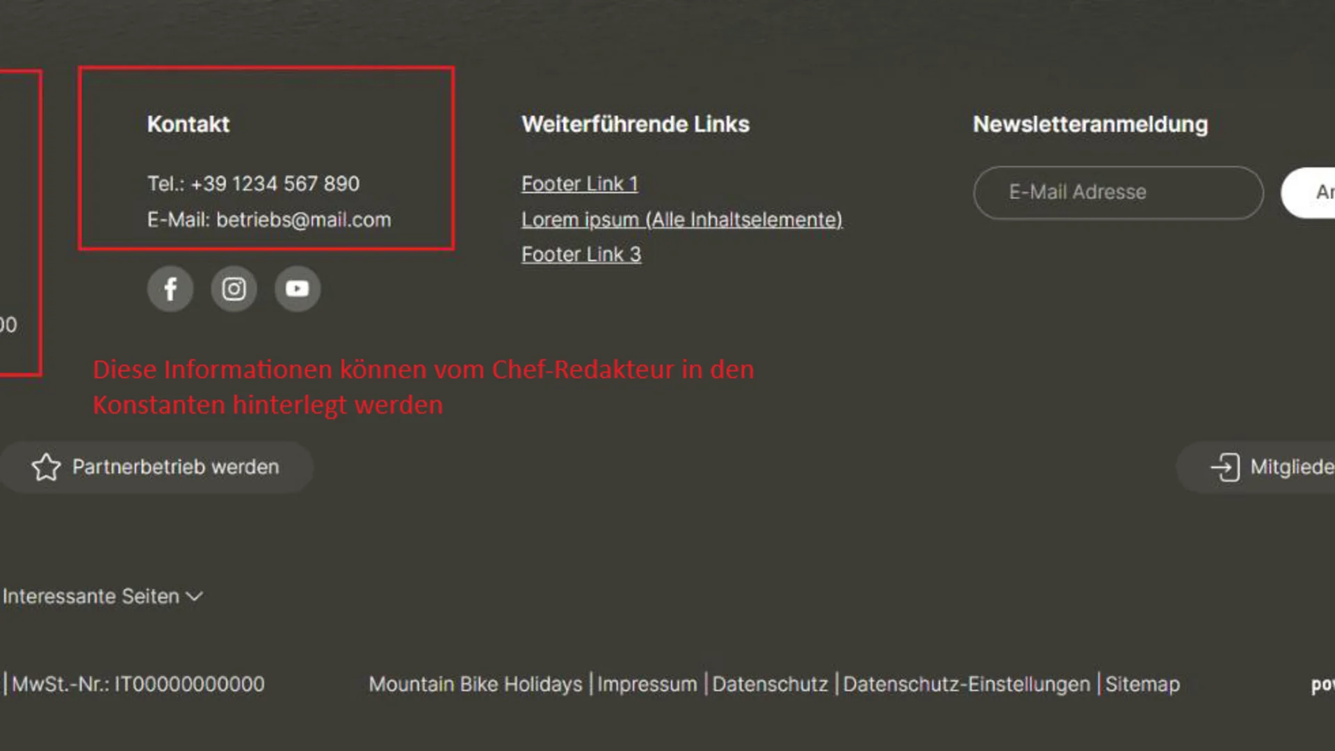Footer mit Firmenname, Kontaktinfos, sozialen Medien und Newsletter-Anmeldung