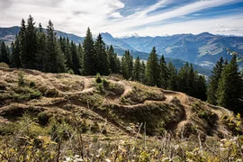 Berglandschap met dennen en kronkelige wandelpaden onder een blauwe lucht