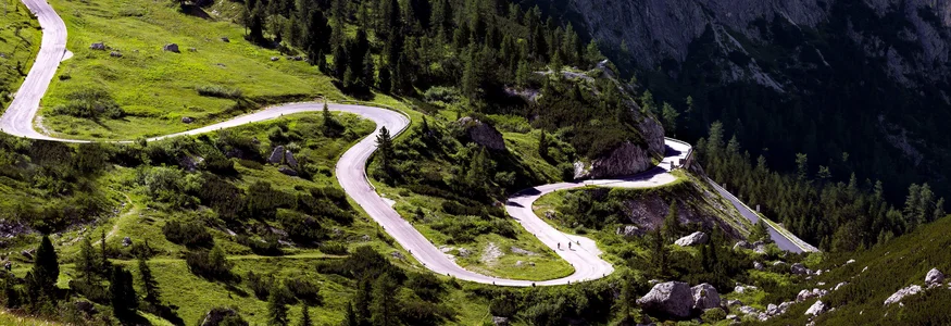 Winding mountain road surrounded by green landscape and trees
