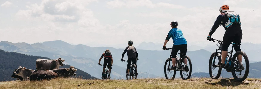 Hotel Rupertus: Ein Retreat für Yogis und Biker © Biohotel Rupertus Vier Mountainbiker fahren auf einem Hügel in den Bergen vorbei an grasenden Kühen