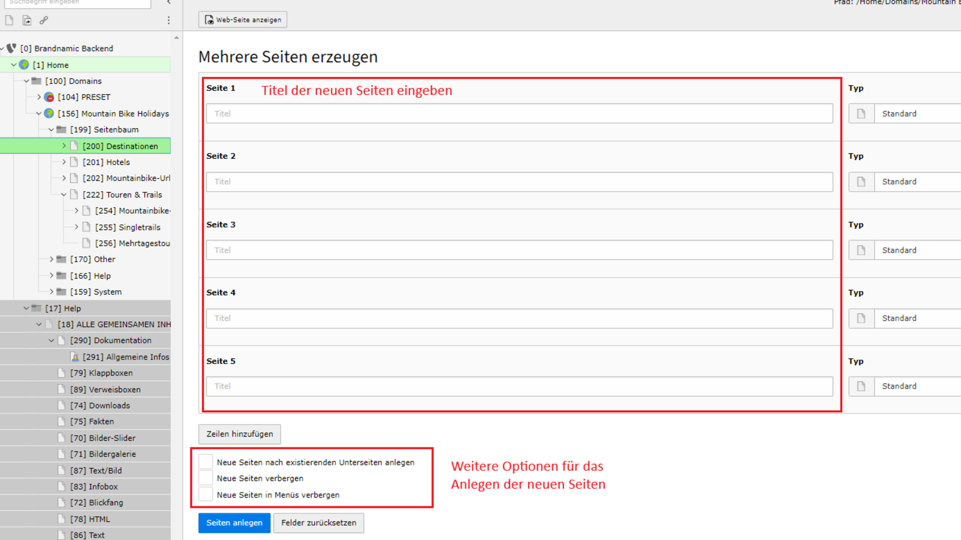 Allgemeine Infos zur Website Formular zum Anlegen mehrerer neuer Seiten mit Titel und Optionen