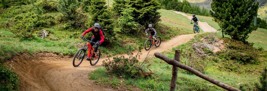 Three mountain bikers riding on a winding forest trail in the mountains
