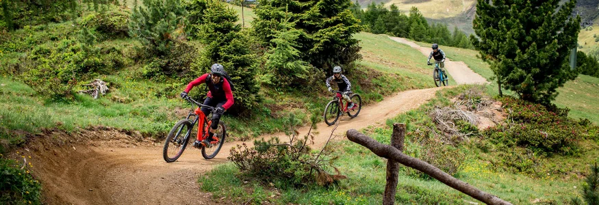 Drei Mountainbiker fahren auf einem kurvigen Waldweg im Gebirge