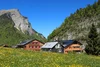 Alpenhütte mit gelben Blumenfeld und steilen Felsen unter klarem blauem Himmel