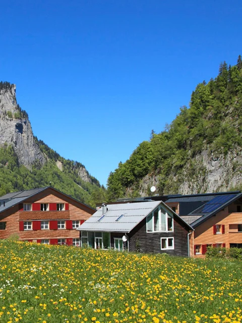 Alpenhütte mit gelben Blumenfeld und steilen Felsen unter klarem blauem Himmel