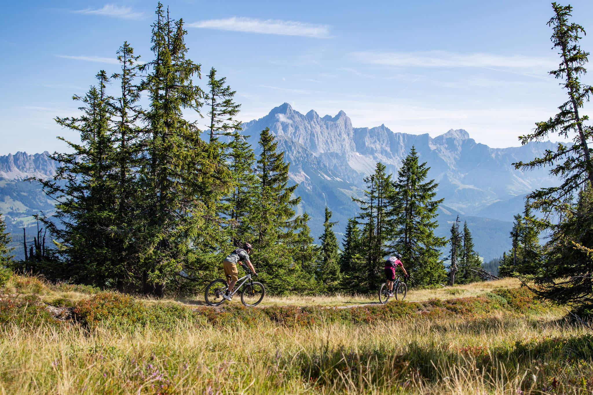 Zwei Radfahrer fahren durch einen Waldweg mit Bergen im Hintergrund