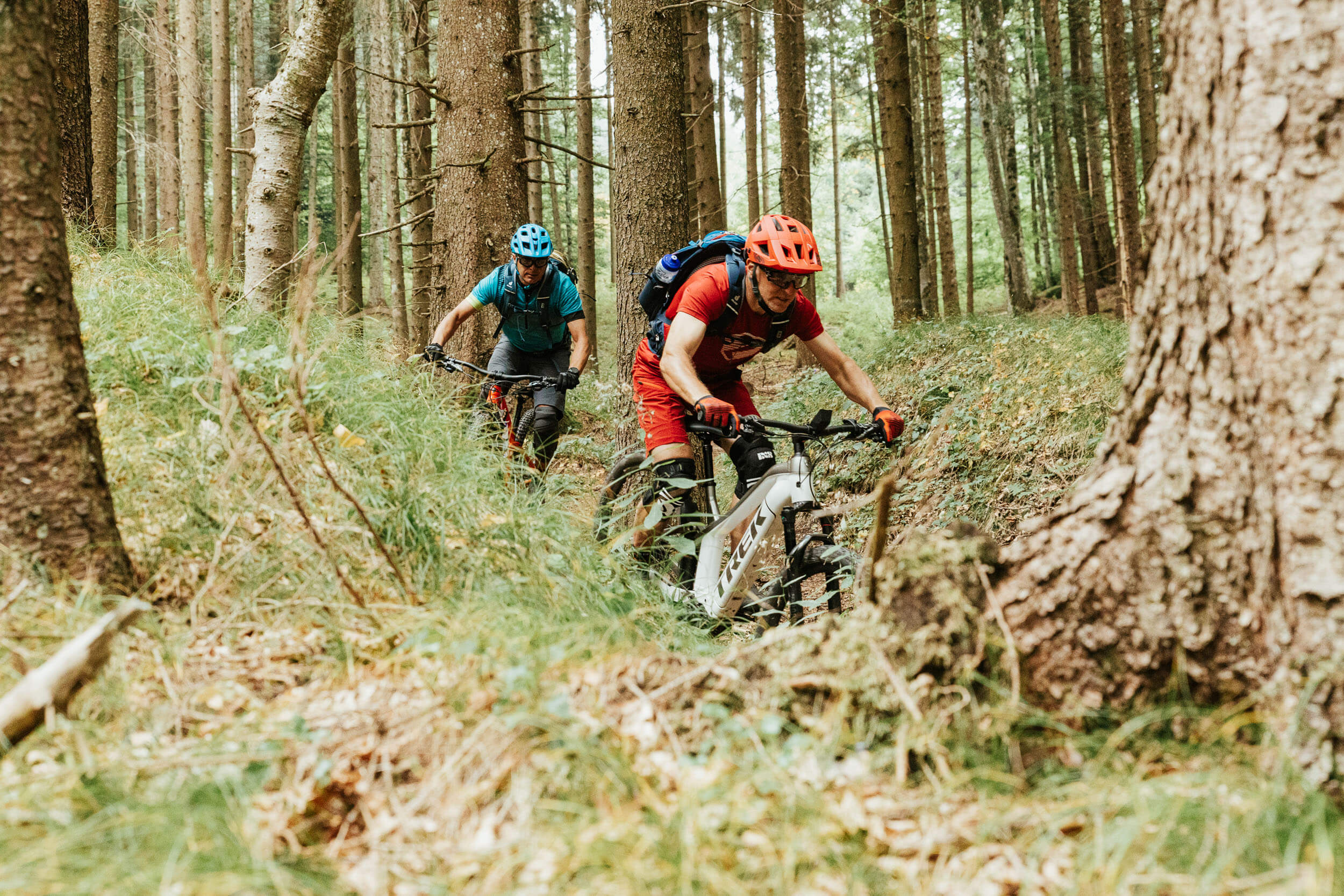 Mountain bike holiday in Tramin © Felix Saller Two mountain bikers riding on a narrow forest trail