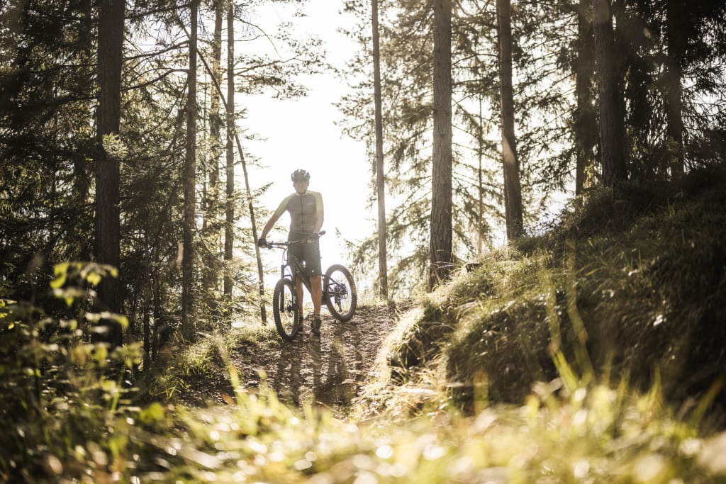 Mountain biker on forest trail in sunlight