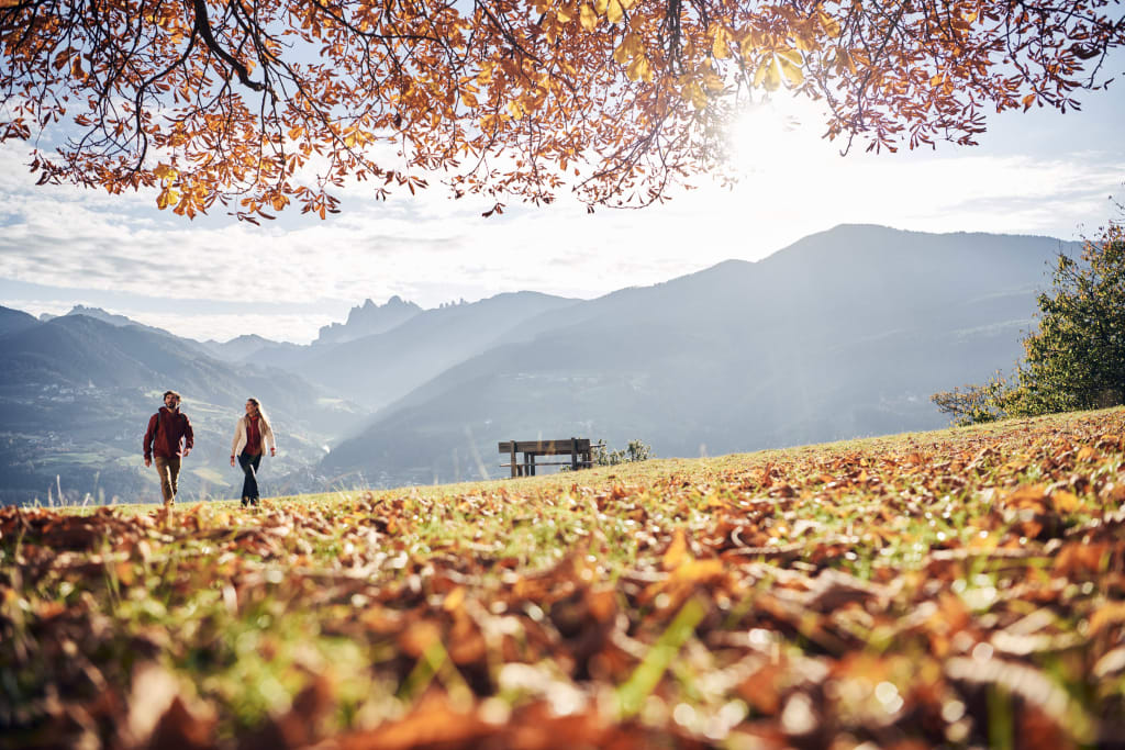 Two people hiking on an autumn meadow with mountains in the background