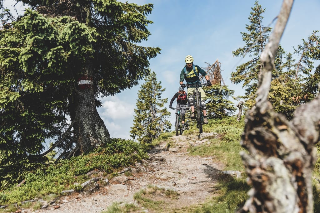 Zwei Mountainbiker fahren einen felsigen Waldweg bergab