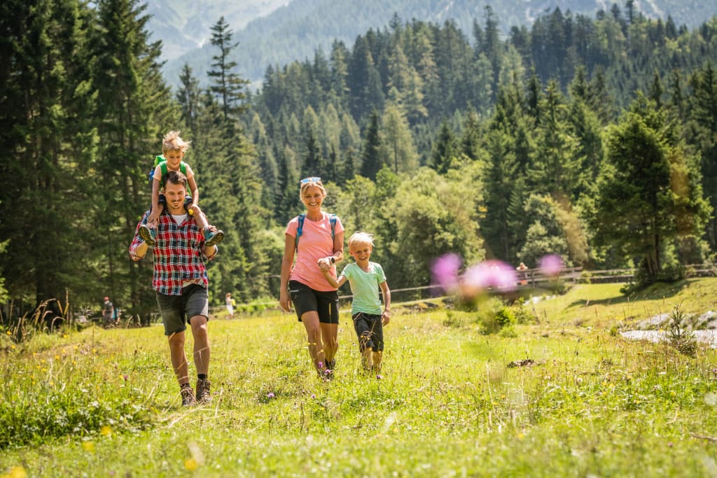 Familie wandert glücklich durch eine sonnige Bergwiese mit Wald im Hintergrund