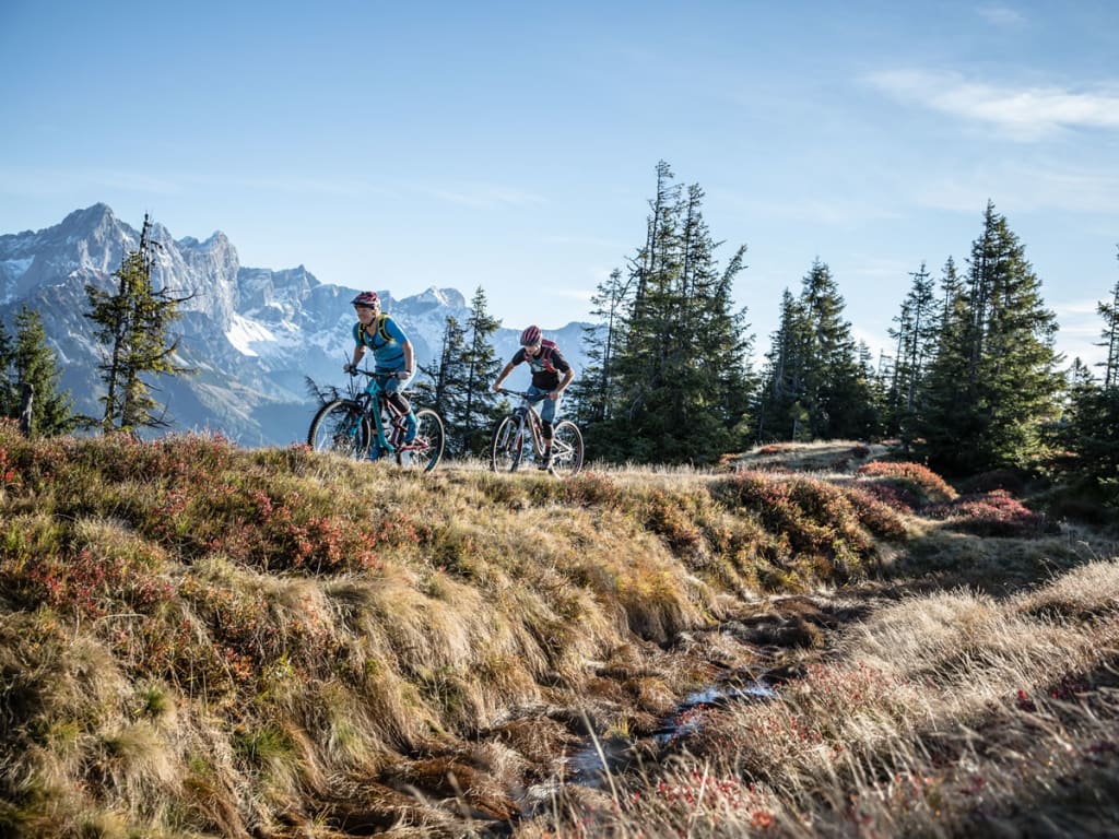 Zwei Mountainbiker fahren auf einem Bergpfad mit Tannen und Bergen im Hintergrund